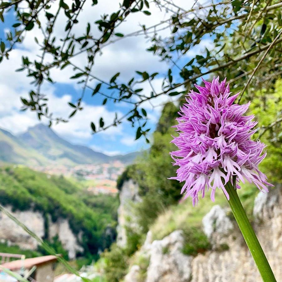 Dafne Holiday Agerola Exterior photo